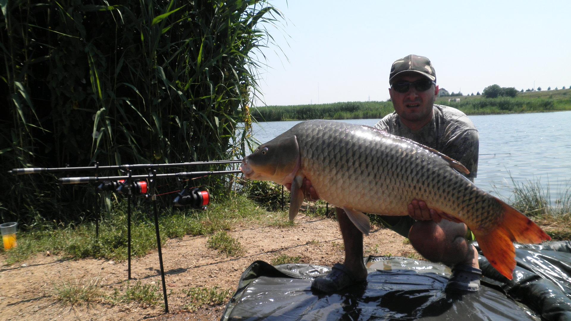 Tancabesti - p7100104.JPG